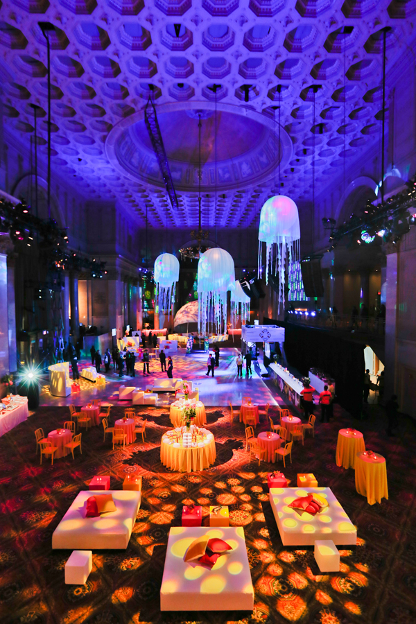 Branding & Product Launch Branding & Product Launch